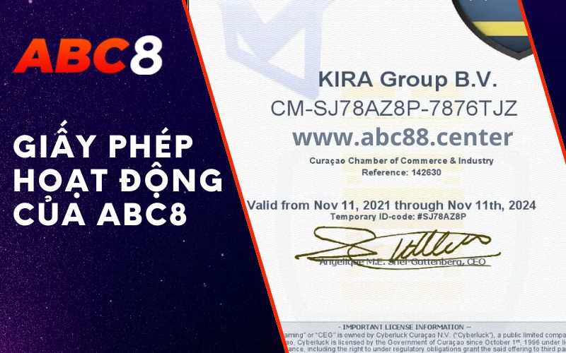 giấy phép hoạt động của abc8